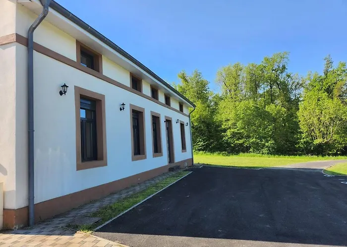 アパート Loft Spacieux En Pleine Foret Bining